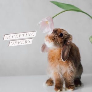 Do you see something you like?